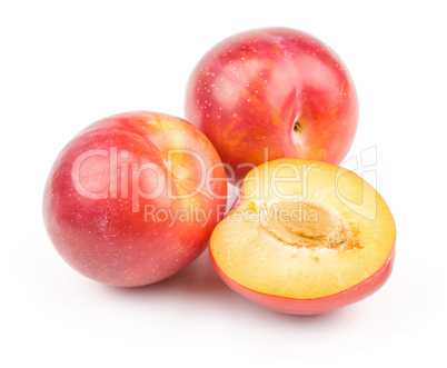 Fresh Red Plum isolated on white