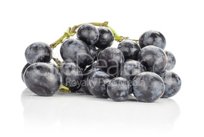 Fresh Black Wine Grapes isolated on white