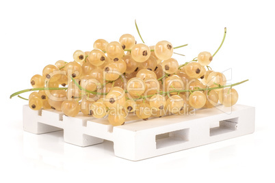 Fresh white currant berries  isolated on white