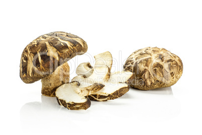 Fresh raw shitake mushroom isolated on white