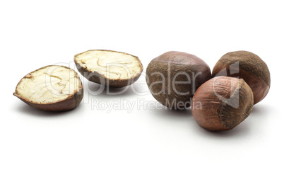 Raw edible Chestnut isolated on white