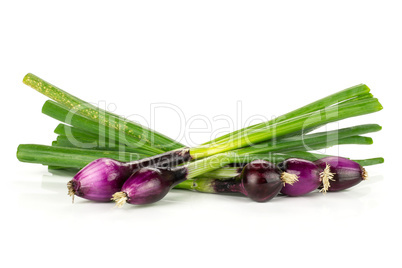 Fresh Raw green spring onion isolated on white