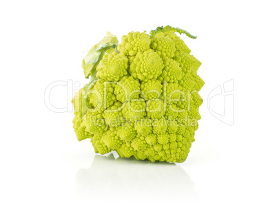 Fresh green romanesco cauliflower isolated on white