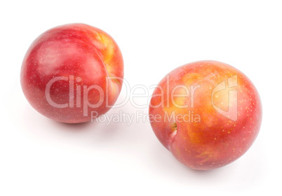 Fresh Red Plum isolated on white