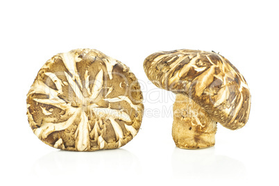 Fresh raw shitake mushroom isolated on white