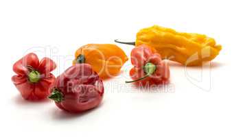 Habanero chili five red orange yellow hot peppers isolated on wh