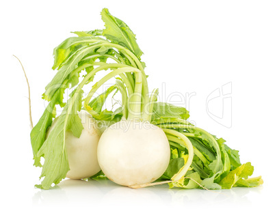 Fresh white radish isolated on white