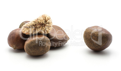 European chestnuts one Spanish edible peeled isolated on white b