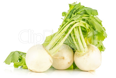 Fresh white radish isolated on white