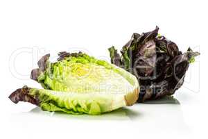 Fresh raw lettuce red little gem isolated on white