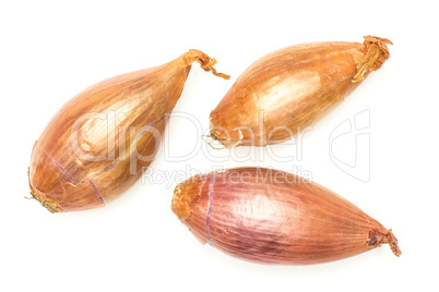 Fresh raw long shallot onion isolated on white