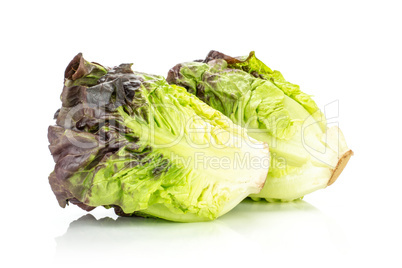 Fresh raw lettuce red little gem isolated on white