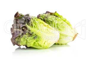 Fresh raw lettuce red little gem isolated on white