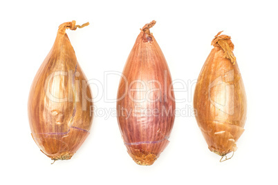 Fresh raw long shallot onion isolated on white