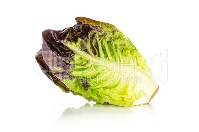 Fresh raw lettuce red little gem isolated on white