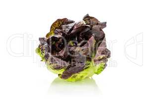 Fresh raw lettuce red little gem isolated on white