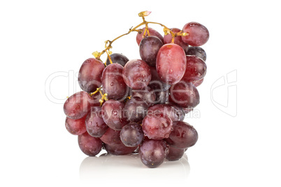 Raw fresh red globe grape isolated on white