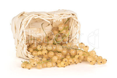 Fresh white currant berries  isolated on white