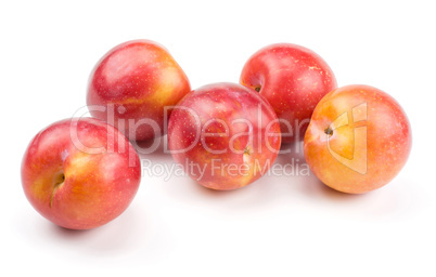 Fresh Red Plum isolated on white