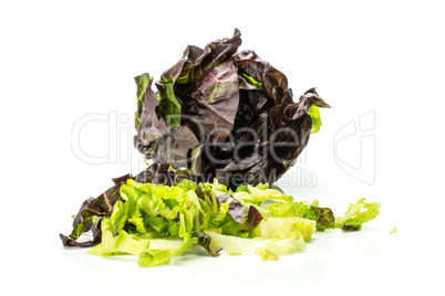 Fresh raw lettuce red little gem isolated on white