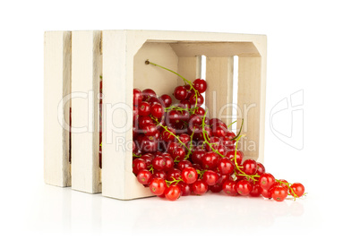 Fresh raw red currant isolated on white