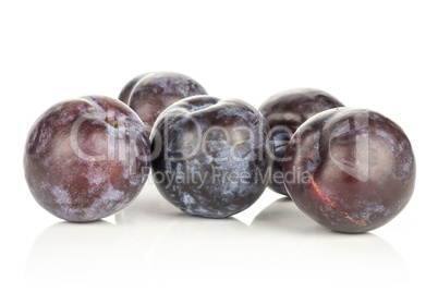 Red Blue Plums isolated on white