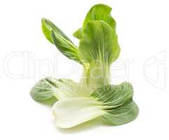 Fresh Bok choy isolated on white