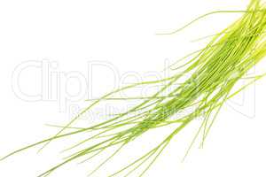 Fresh Raw Chives isolated on white