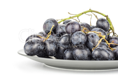 Fresh Black Wine Grapes isolated on white