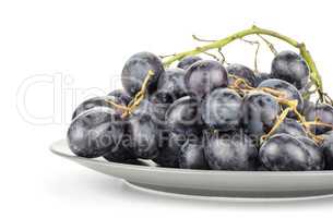 Fresh Black Wine Grapes isolated on white
