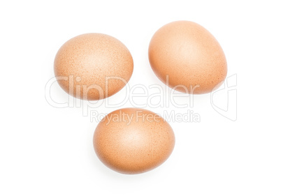 Fresh Chicken Egg isolated on white