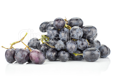 Fresh Black Wine Grapes isolated on white