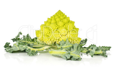 Fresh green romanesco cauliflower isolated on white