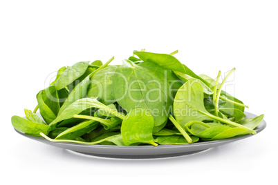 Fresh raw green spinach isolated on white