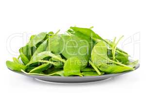 Fresh raw green spinach isolated on white