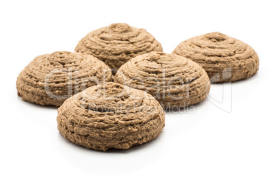 Coco cookie isolated on white