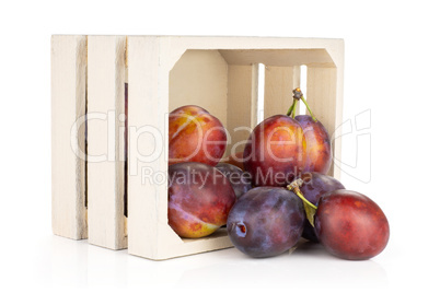 Fresh Raw vibrant plums isolated on white