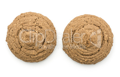 Coco cookie isolated on white