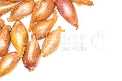 Fresh raw long shallot onion isolated on white