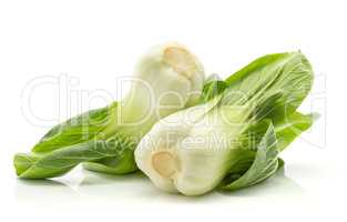 Fresh Bok choy isolated on white