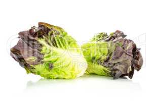 Fresh raw lettuce red little gem isolated on white