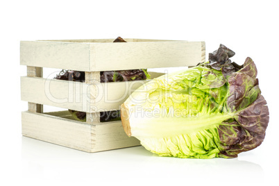 Fresh raw lettuce red little gem isolated on white