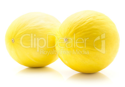 Melon Honeydew isolated on white