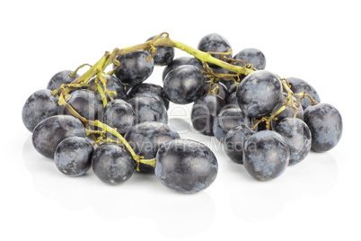 Fresh Black Wine Grapes isolated on white