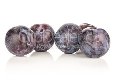 Red Blue Plums isolated on white