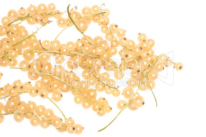 Fresh white currant berries  isolated on white