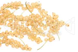 Fresh white currant berries  isolated on white