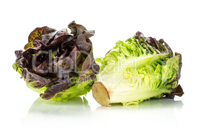 Fresh raw lettuce red little gem isolated on white