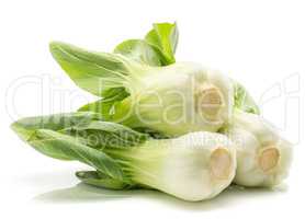 Fresh Bok choy isolated on white