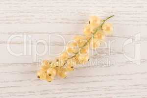 Fresh white currant berries on grey wood